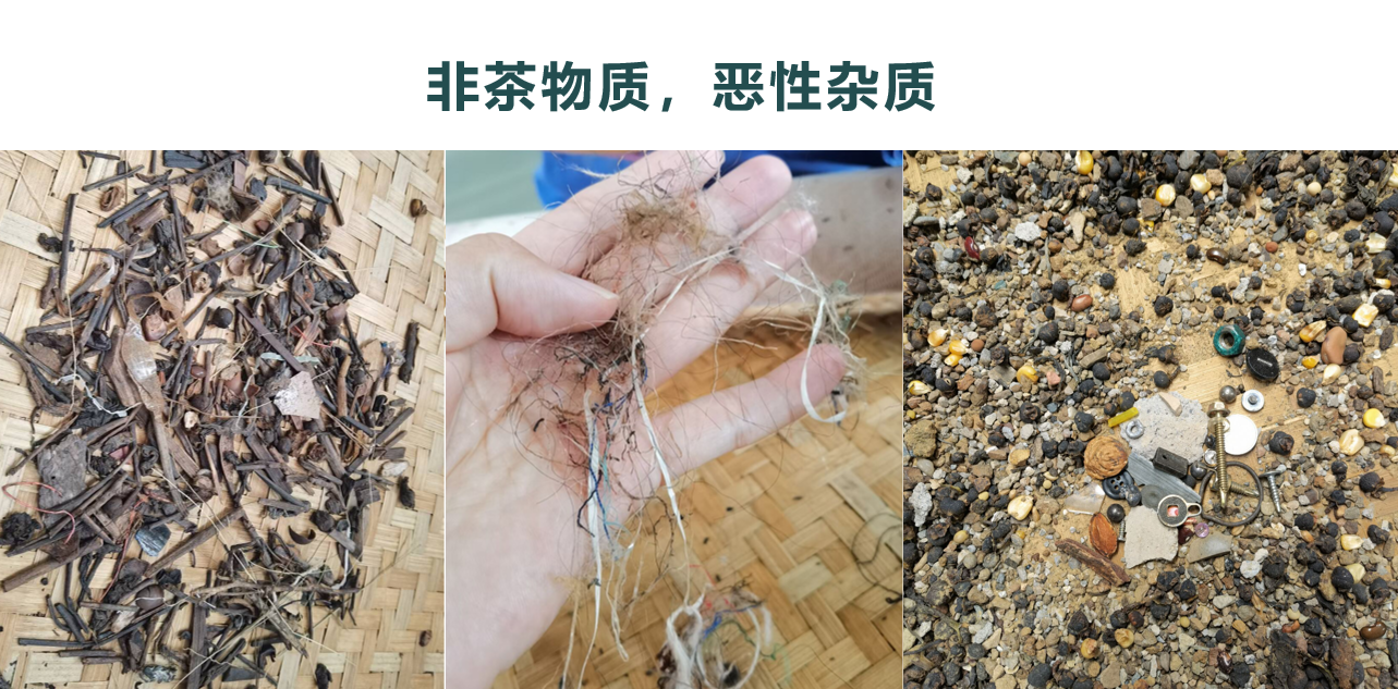 20241023131221_92546 Starbo星宝(中国集团)官方网站