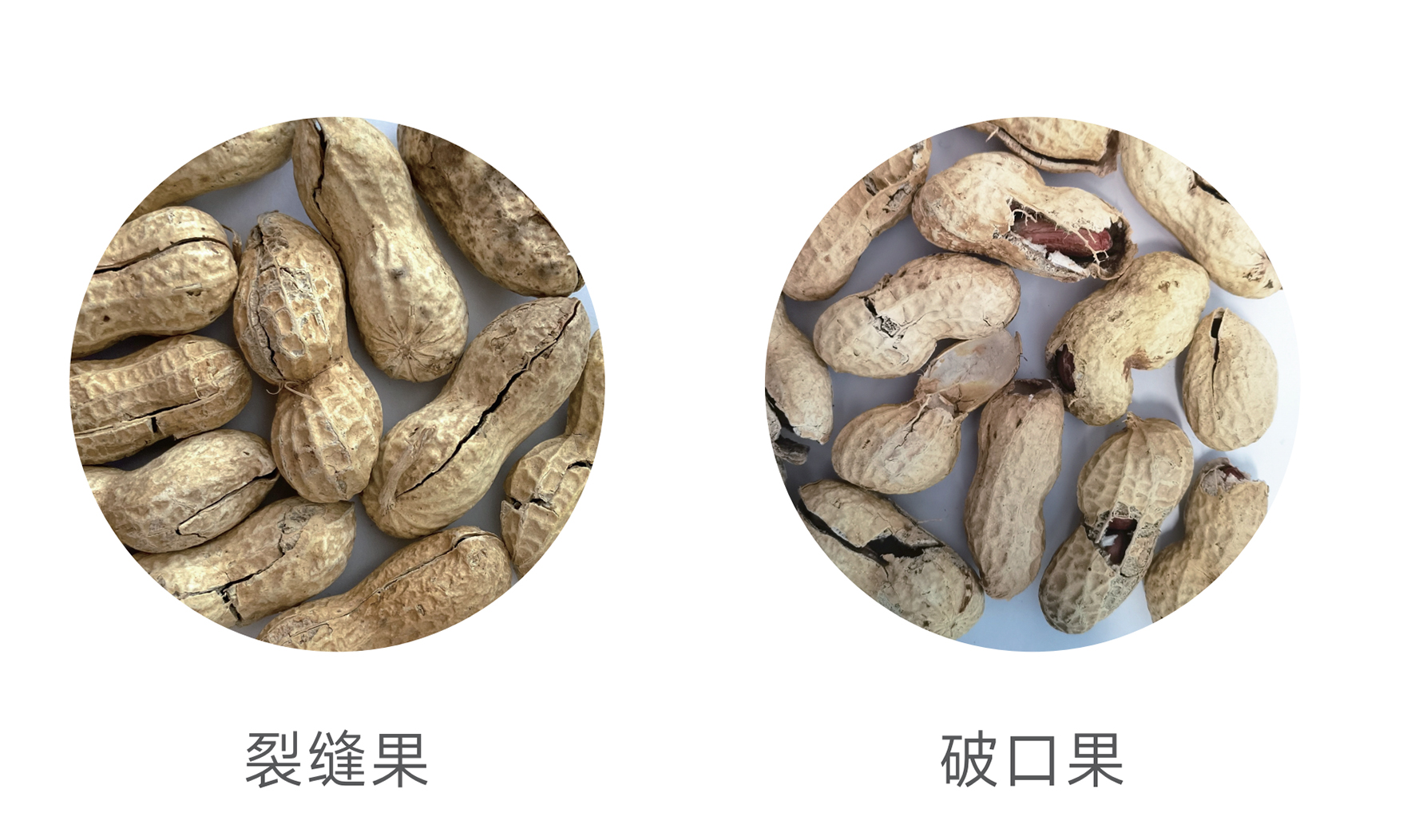20250708162125_63906 Starbo星宝(中国集团)官方网站